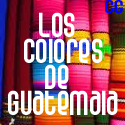 A partir de esta semana hasta al 10 de octubre estará la exposición de  Valeria Avilés  en una venta de café y comida (coffee shop,  Café de León) ubicada  en la Zona 1 ciudad capital, que lleva por nombre “Colores de Guatemala”  donde los comensales podrán observar esta pinturas mientras degustan una taza del producto proveniente de los cafetales que se siembran  y cosechan en Guatemala.  