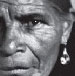 www.Cultiguate.com