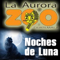 Regresan las “Las Noches de Luna